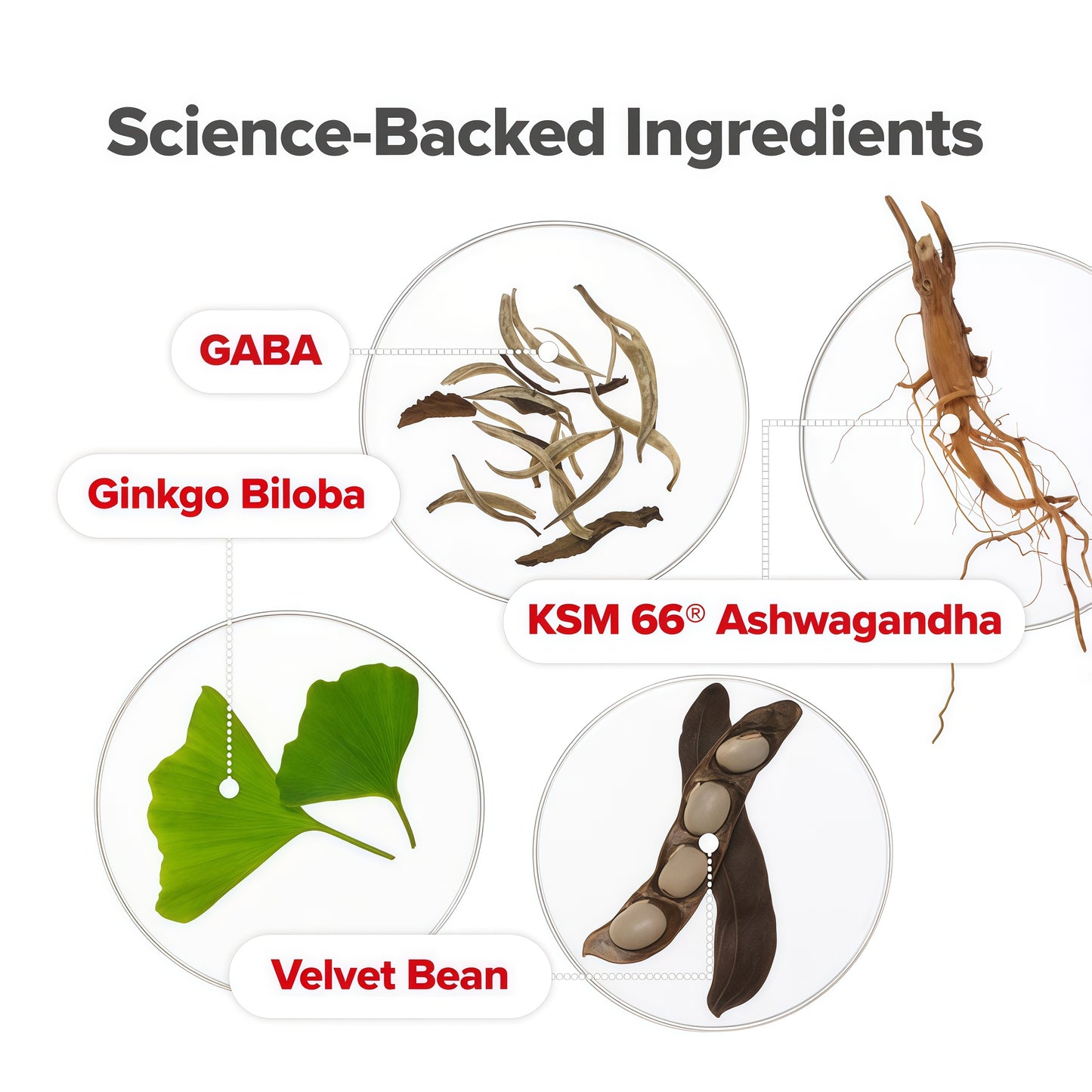 O Positiv URO Vaginal Moisture & Mood – Formulated to Support Vaginal Moisture, Mood & Relaxation – with KSM-66® Ashwagandha, Ginkgo Biloba, Mucuna pruriens, and GABA – 30 Servings