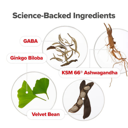 O Positiv URO Vaginal Moisture & Mood – Formulated to Support Vaginal Moisture, Mood & Relaxation – with KSM-66® Ashwagandha, Ginkgo Biloba, Mucuna pruriens, and GABA – 30 Servings